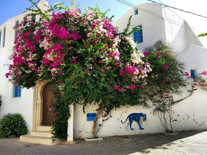 flowers