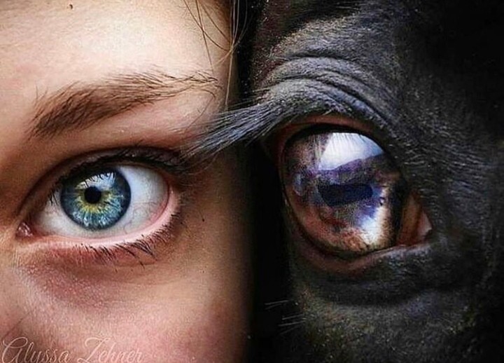 ojos