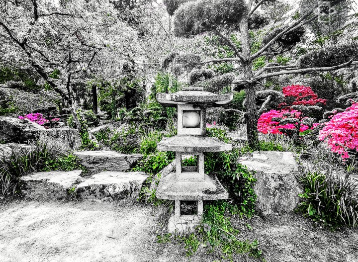 japanese garden