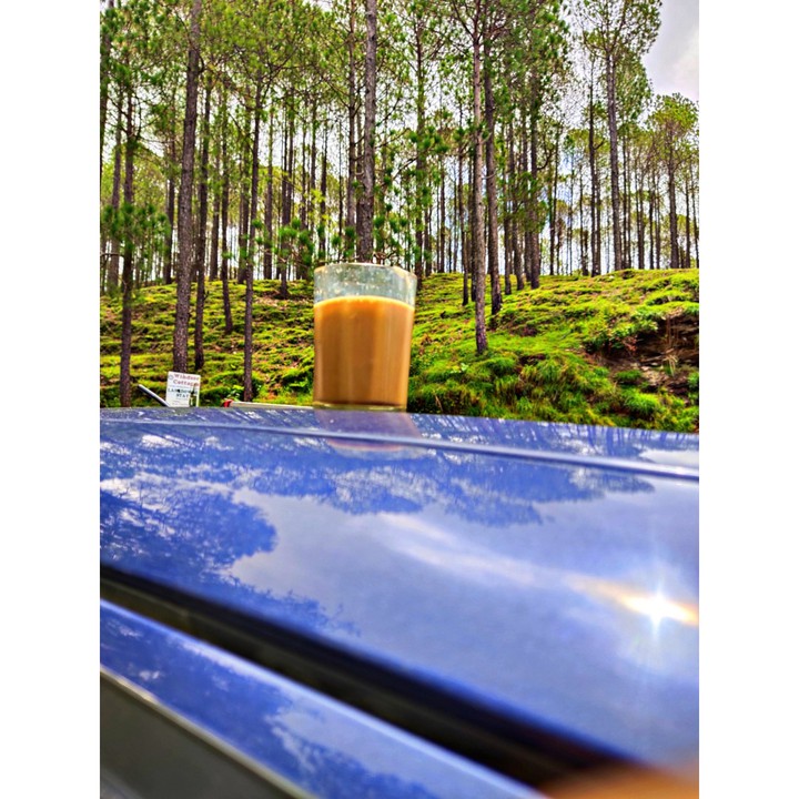 Cup of Tea
