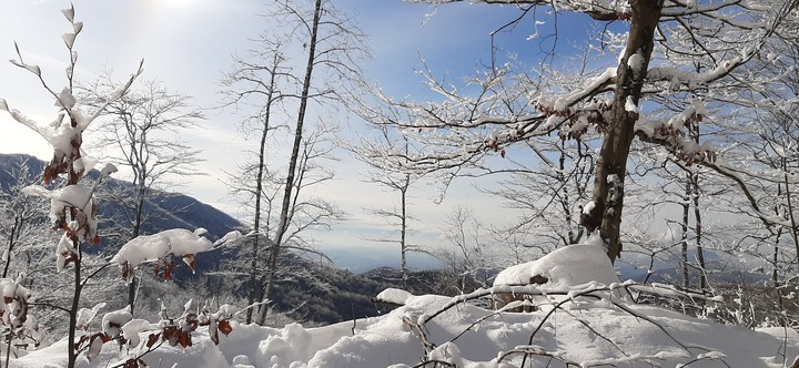 Winter landscape