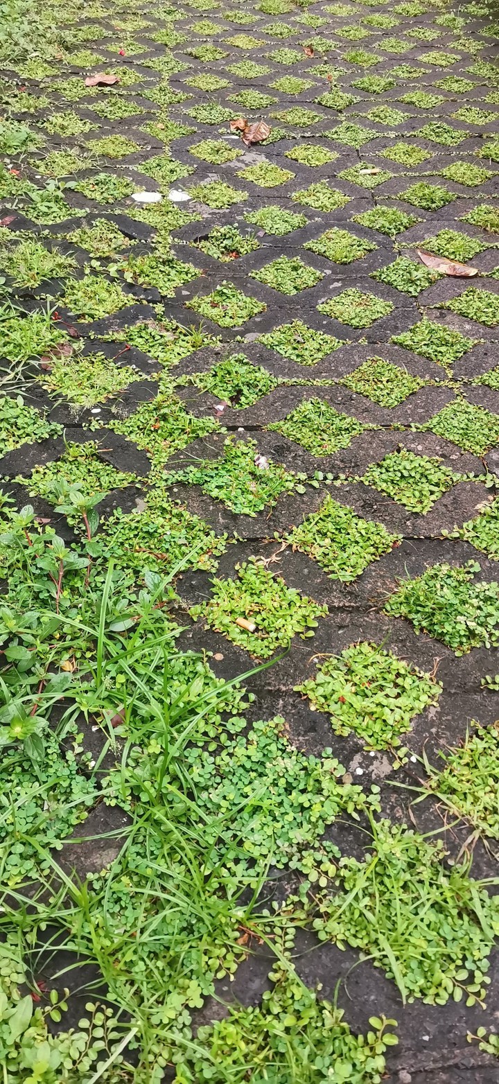 green block