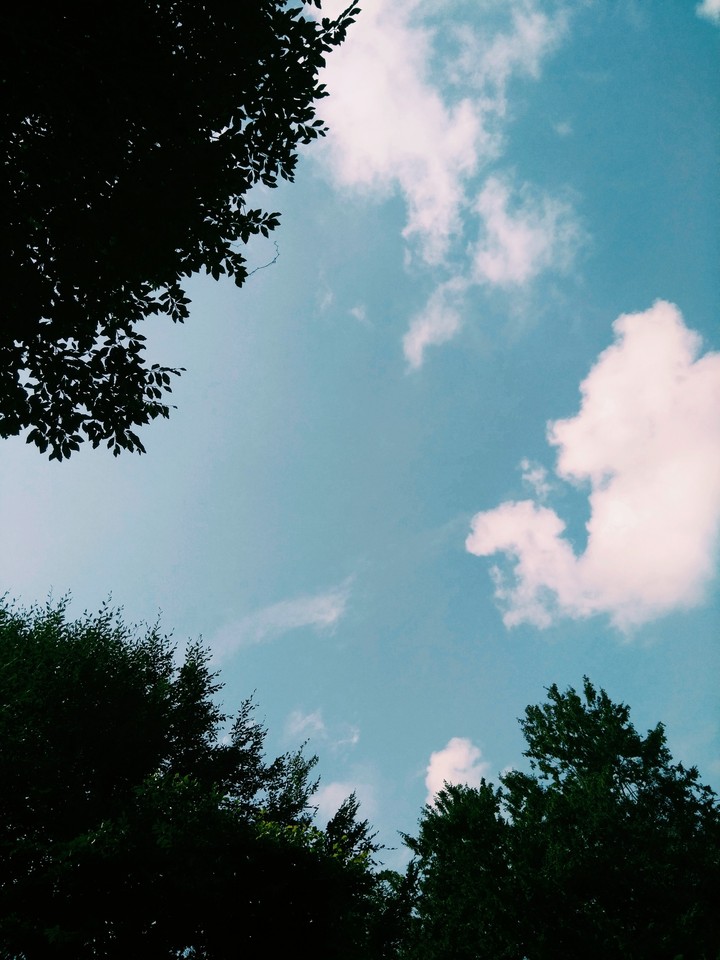 I want humanity as clean as the sky