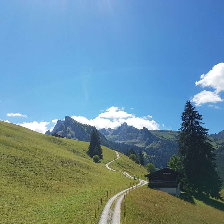 Schweiz, Berge, Grimmialp
