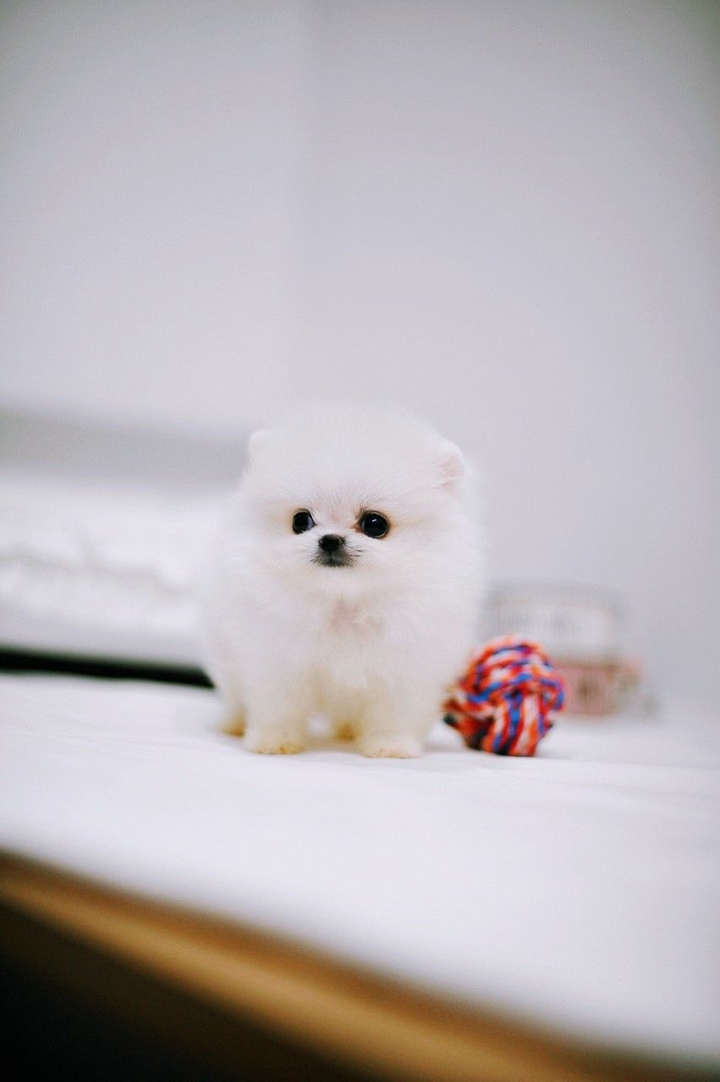 take my money that is so cute!!!