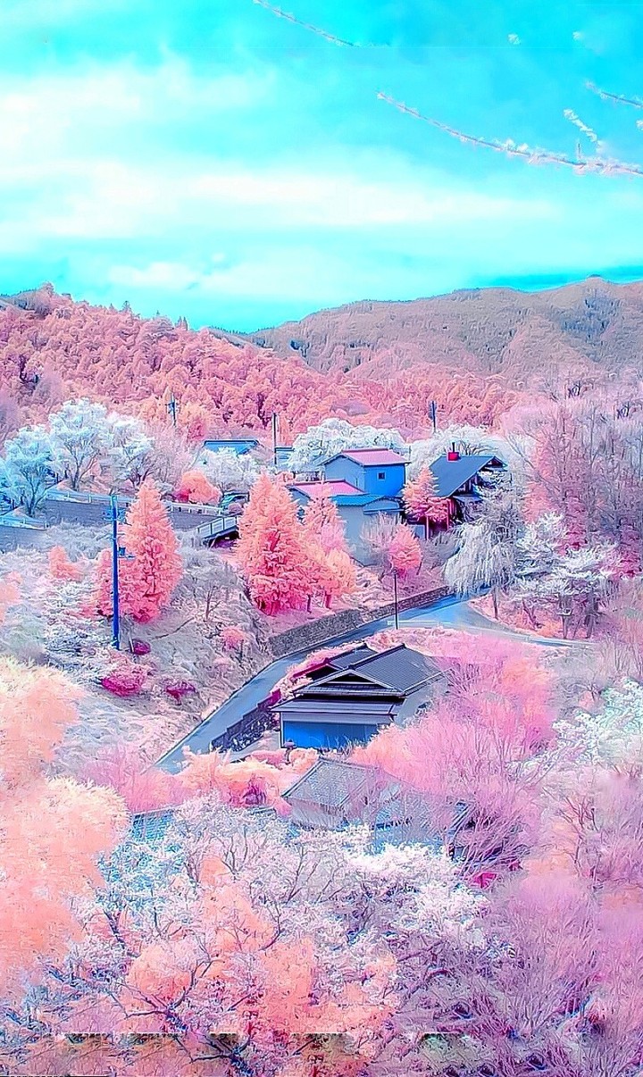 Pink
