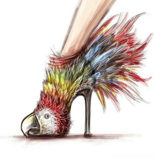 shoe