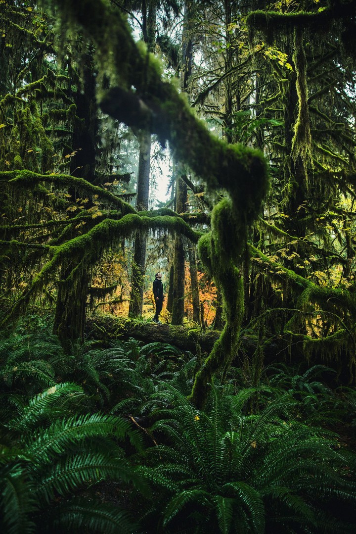 Nature