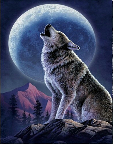 ~ Wolf ~