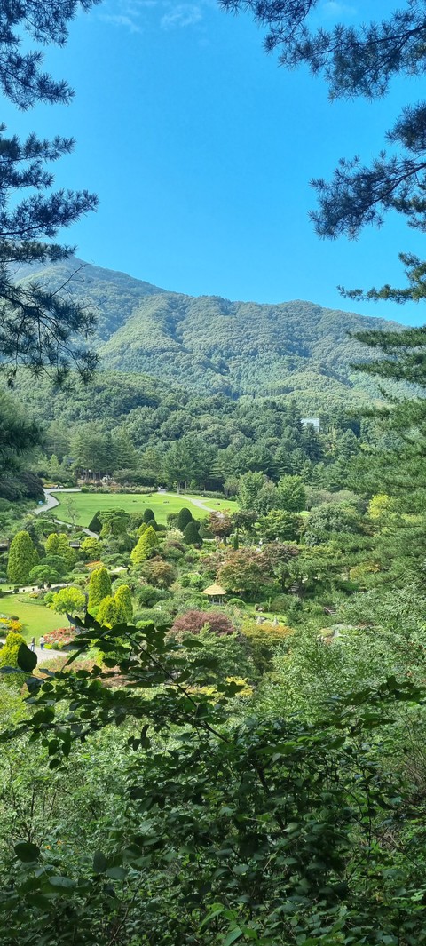 highland, 風景桌布