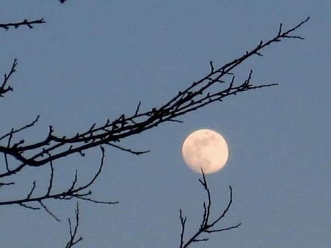 Moon