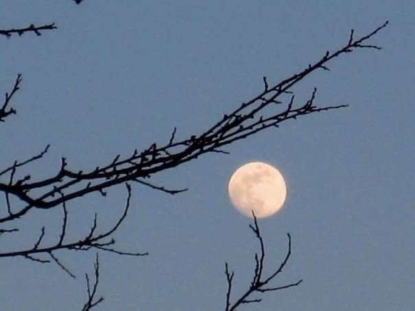Moon