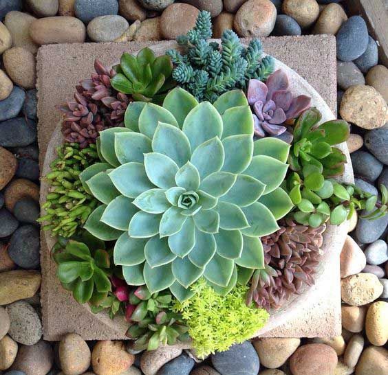 Nature's Beauty