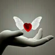 flying heart