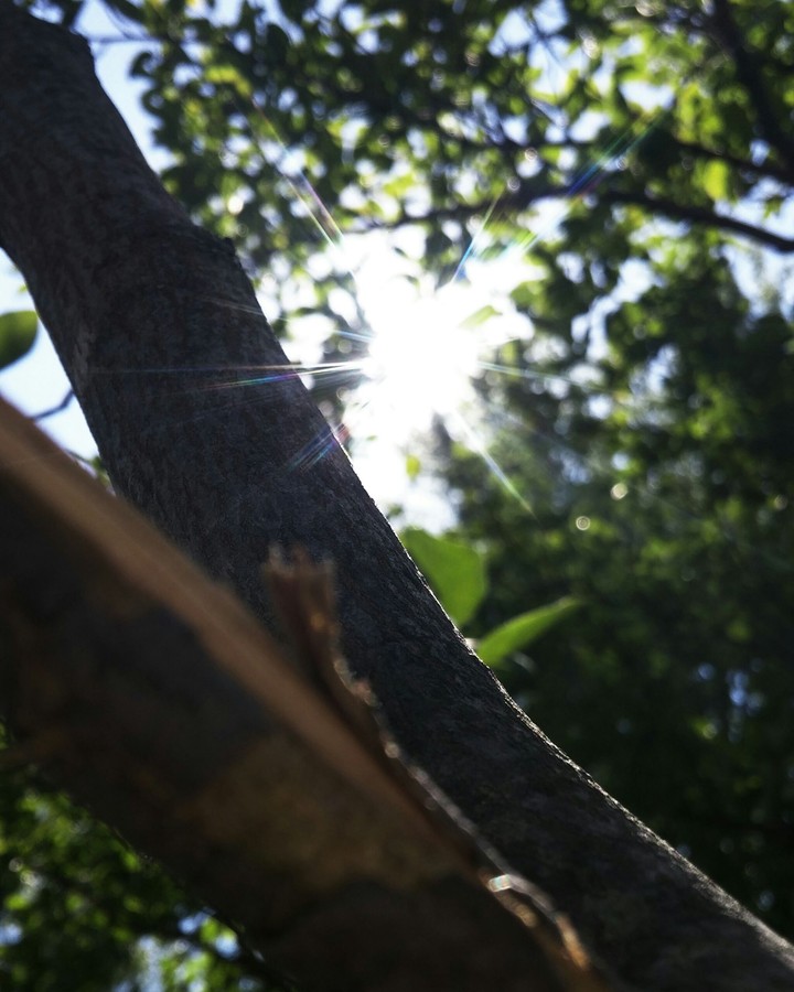 nature