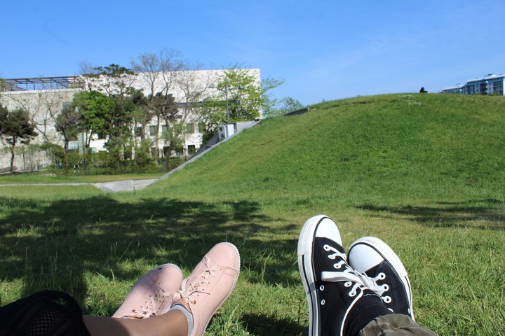 love