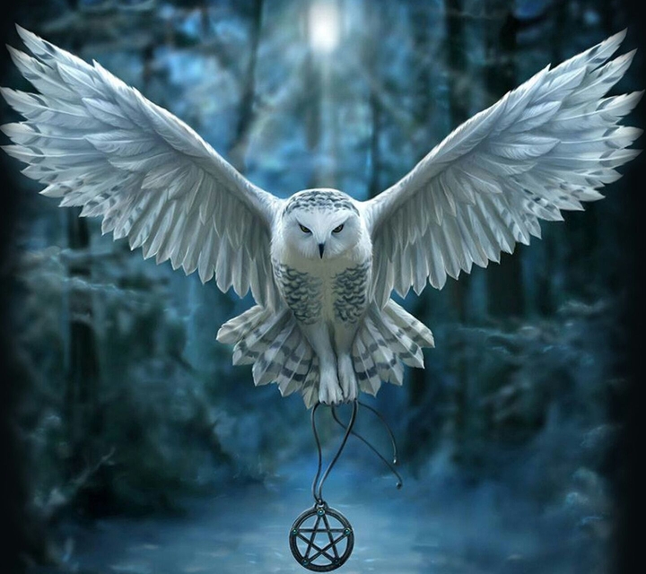 Snow White Owl