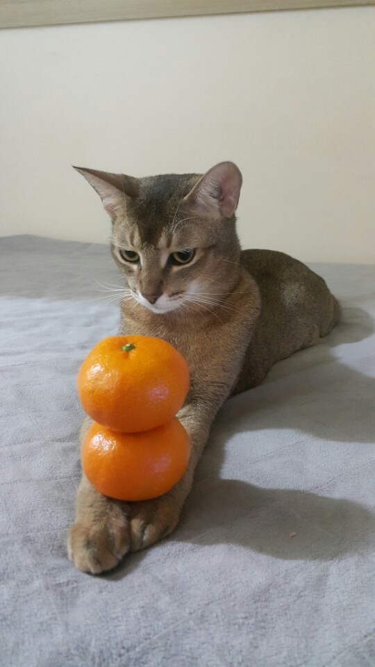 재밌냐~?