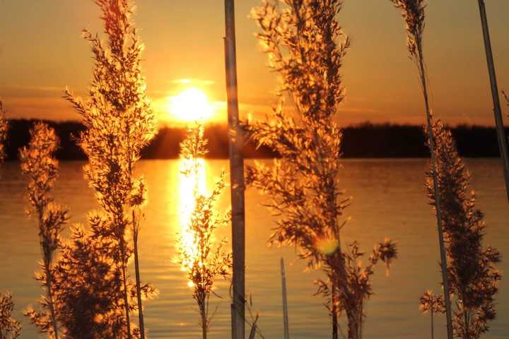 Sunset Evening