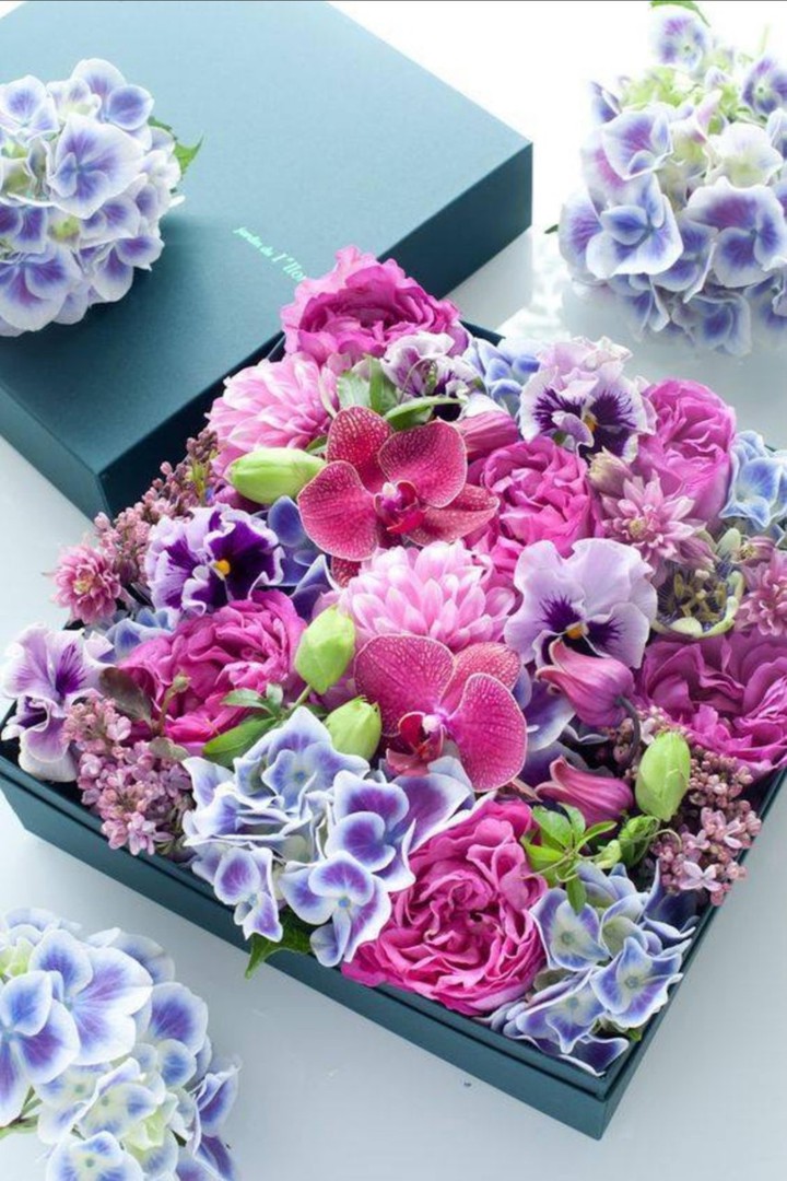flores