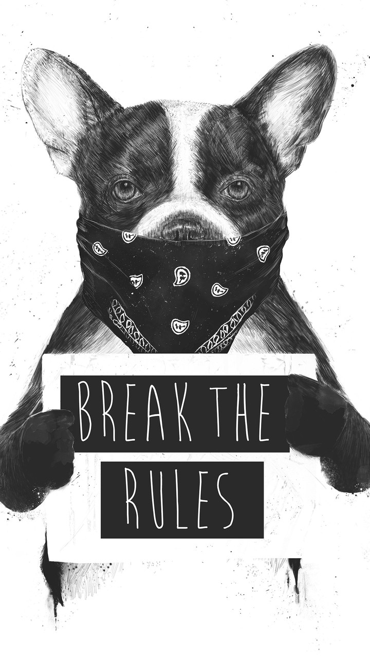 Break the Rules