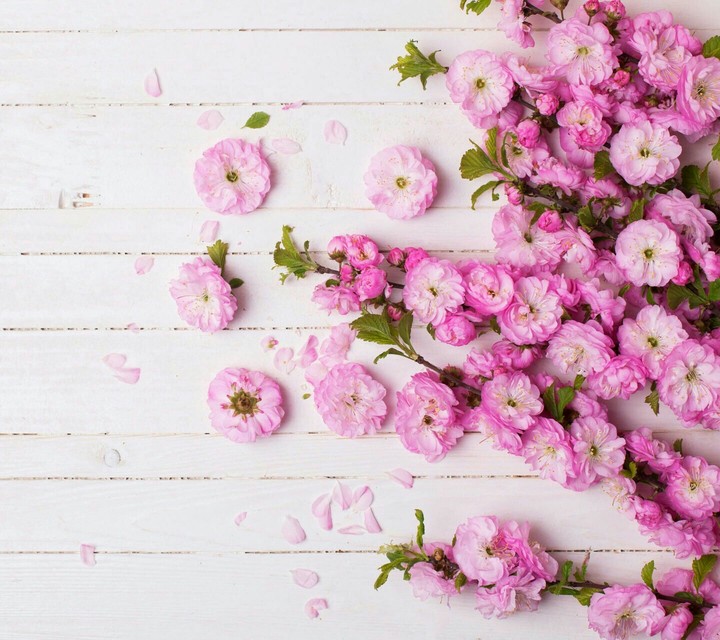 ~pretty flowers~