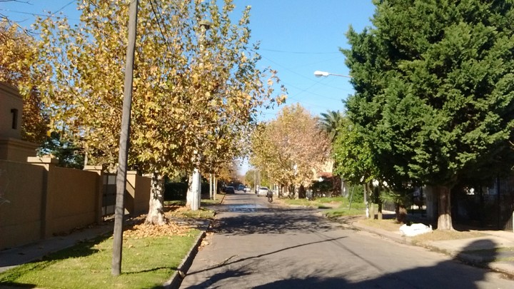 otoño