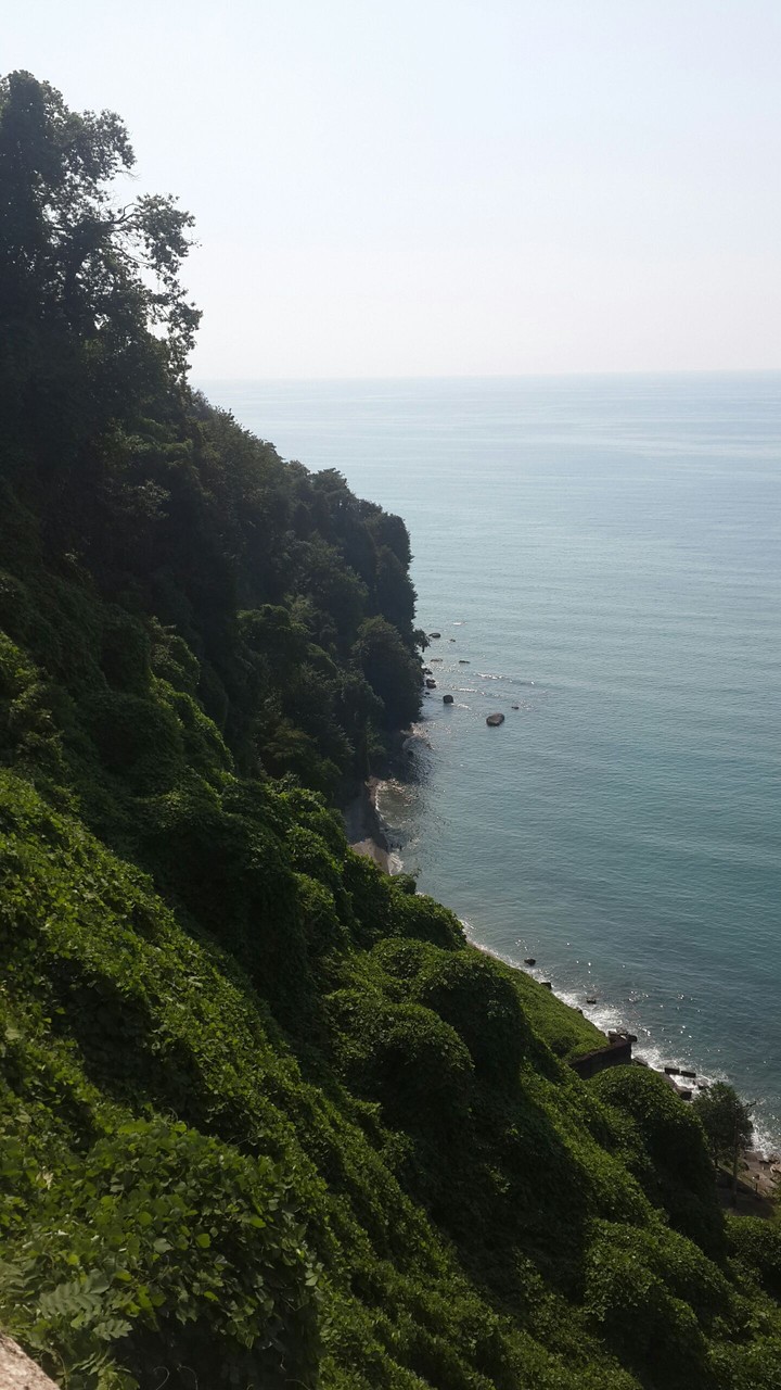 A view