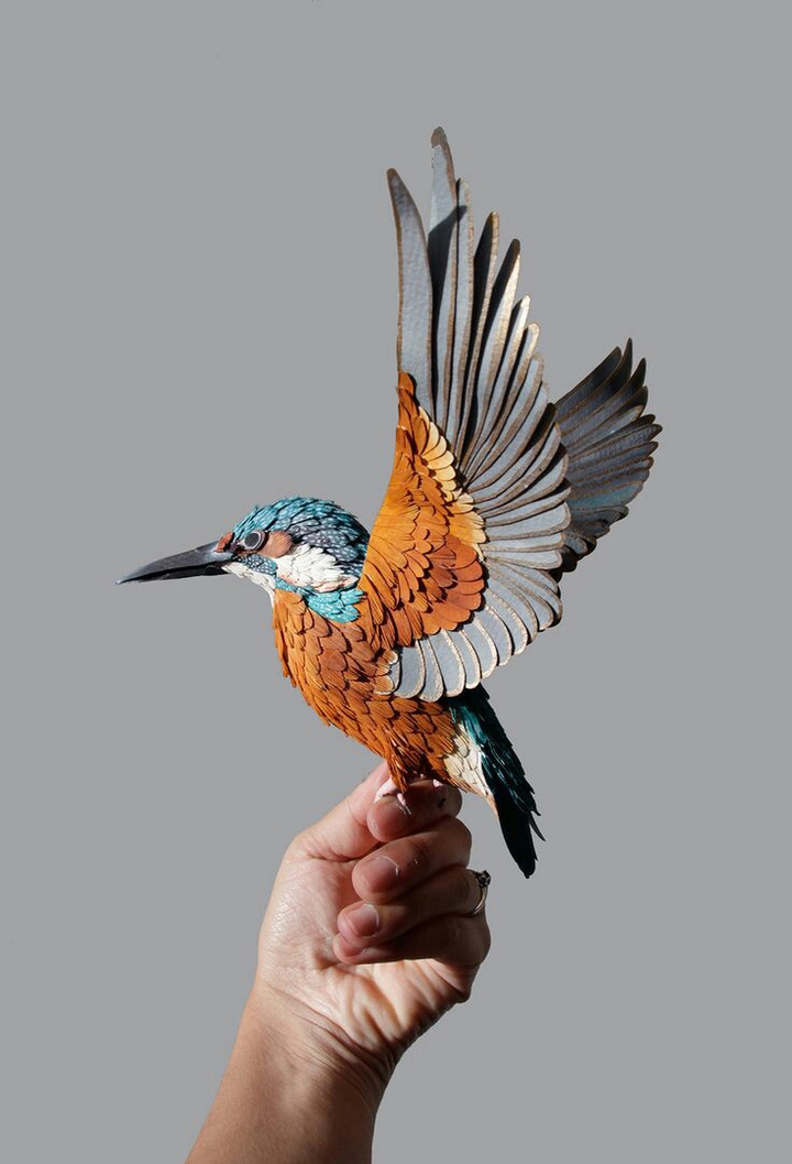 Bird