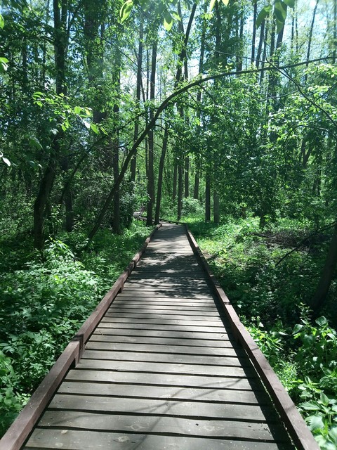 Road