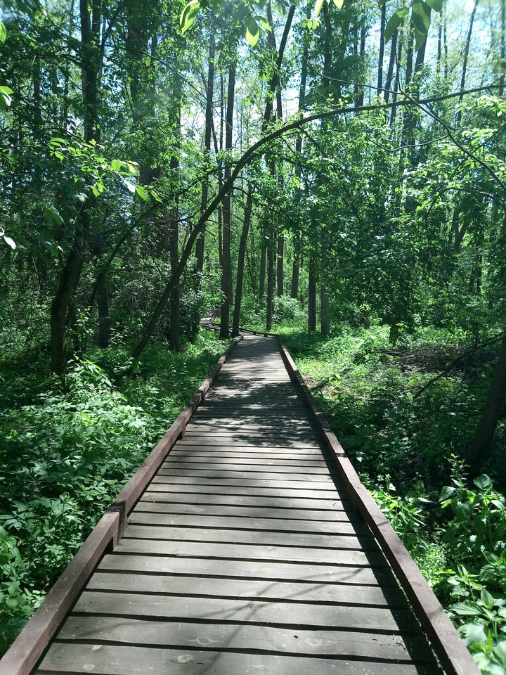 Road