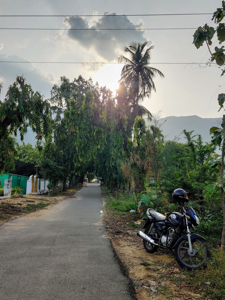 pleasant evening