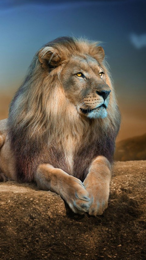 hair, whiskers壁紙