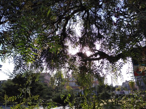 parque Alborada