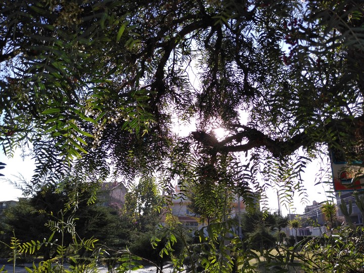 parque Alborada