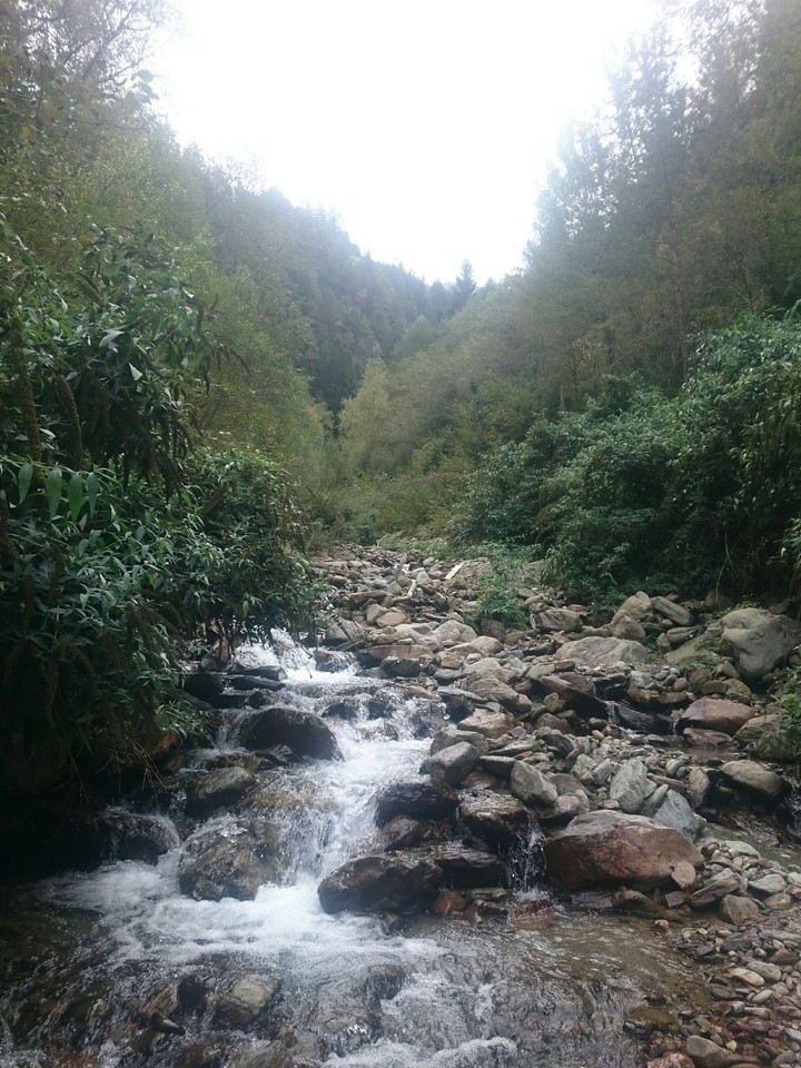Watercourse