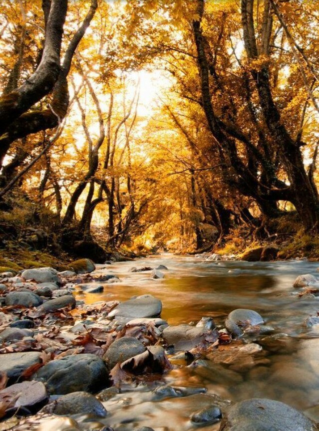 River