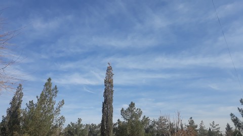 weather