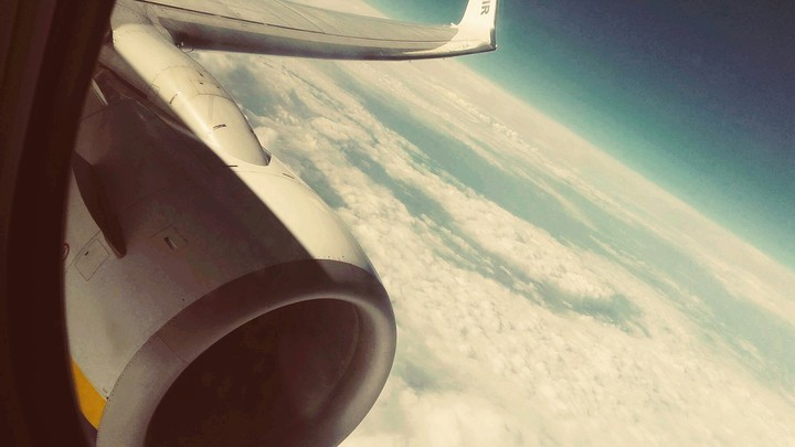 fly