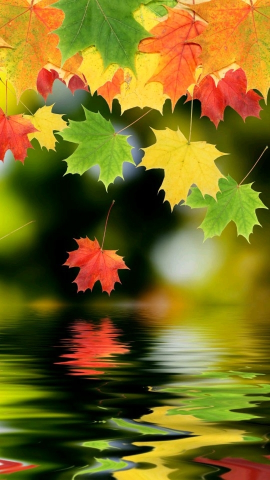 Falling leaves