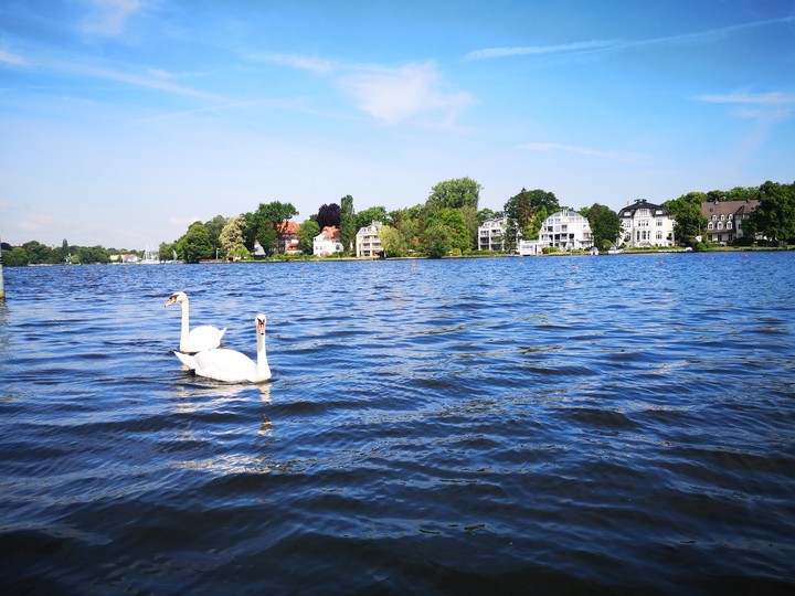 Schwanensee