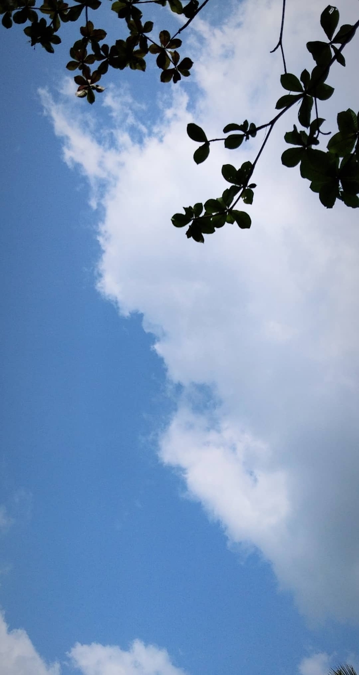 love for sky