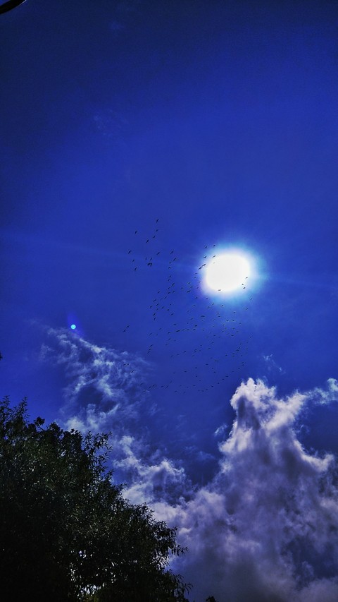 fly high