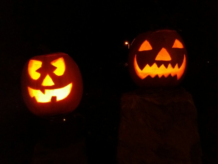 pumpkin