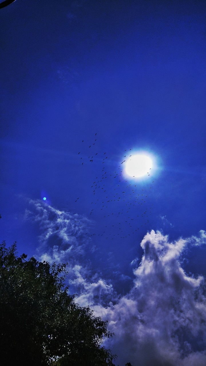 fly high