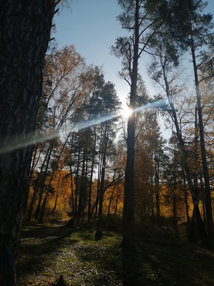 Осень.
