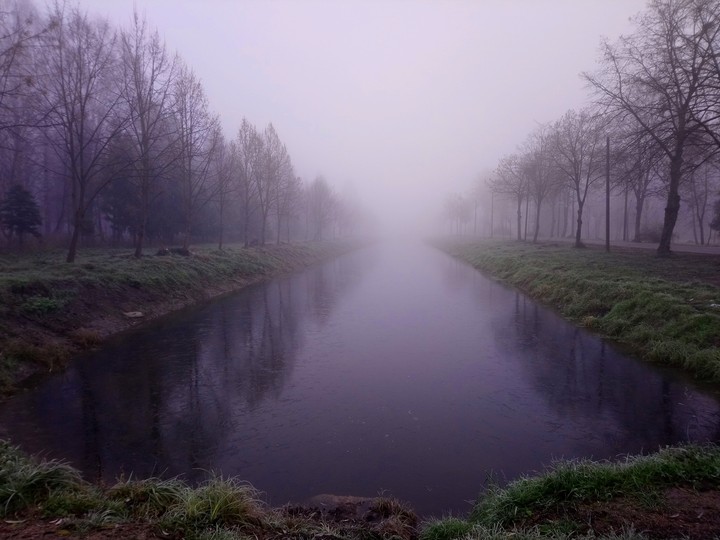 river in the fog