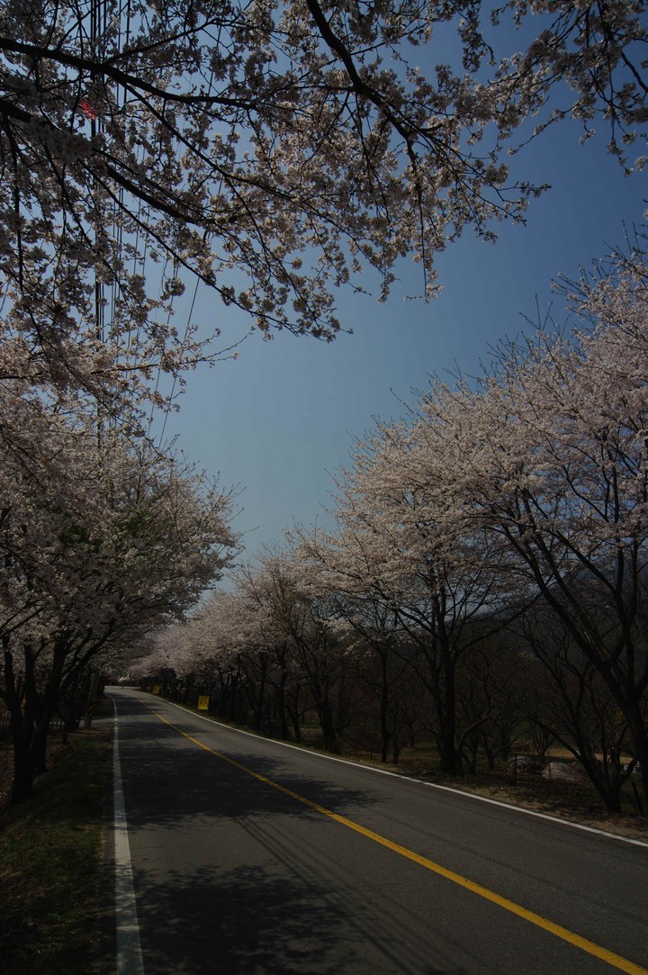 Spring