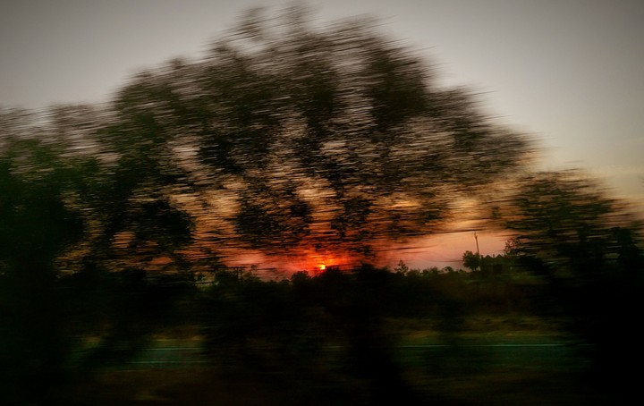 Running Tree