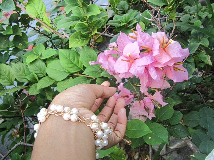 flower